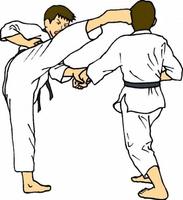 Guide d'apprentissage du mouvement de taekwondo Affiche