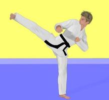 Guide d'apprentissage du mouvement de taekwondo capture d'écran 1