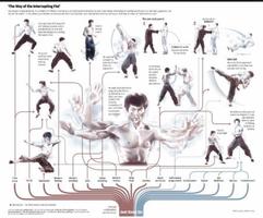 Guide d'apprentissage du Kung Fu capture d'écran 2
