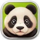 Panda Cute Wallpaper APK