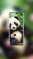 Panda Cute Wallpaper poster