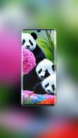 Panda Cute Wallpaper screenshot 3
