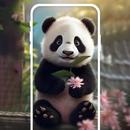 Cute Panda Live Wallpapers HD APK