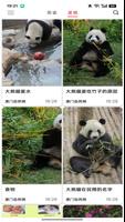 PandaJoy スクリーンショット 2