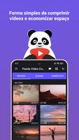 Compressor mb de video Panda Cartaz