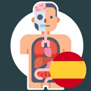 APK Curso de anatomía en español
