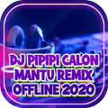 DJ PIPIPI Calon Mantu Remix Offline 2020