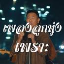 APK เพลงลูกทุ่งเพราะๆ