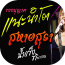 APK ฟังเพลงลูกทุ่งแนะนำ