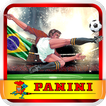 Panini Brasil FC