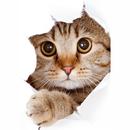 Милые котики обои HD+ APK