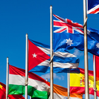 The Flags of The World: Quiz icon