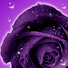 Roses live wallpaper-icoon