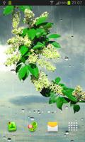 Rain live wallpaper 截圖 3