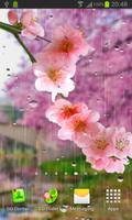 Rain live wallpaper 海報
