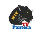 Pantera TV - Free IPTV Player आइकन