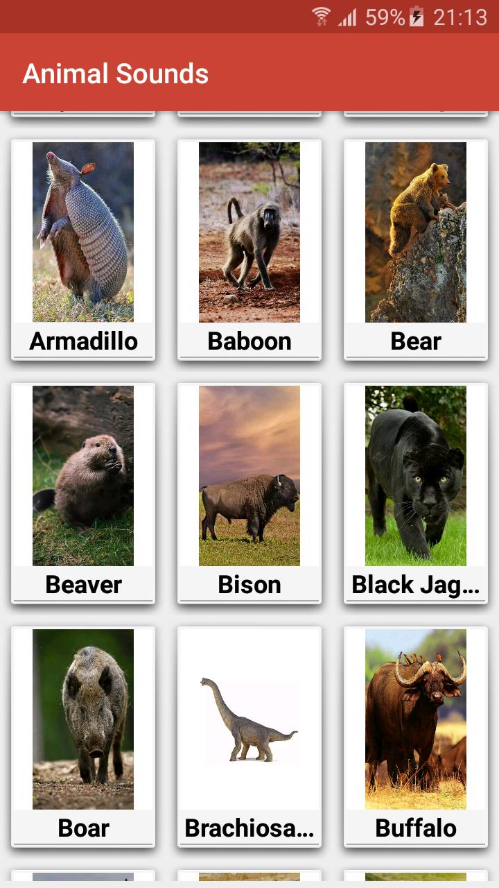Animal Sounds - 150 Animal Sounds APK for Android Download Animal Sounds - 150 Animal Sounds APK for Android Download