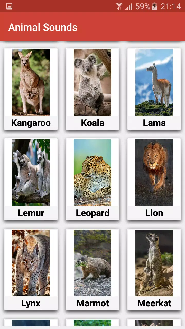 Tải xuống APK Âm thanh động vật - 150 âm thanh động vật cho Android Tải xuống APK Âm thanh động vật - 150 âm thanh động vật cho Android