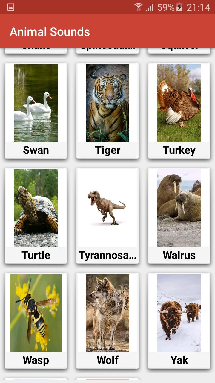Animal Sounds - 150 Animal Sounds APK for Android Download Animal Sounds - 150 Animal Sounds APK for Android Download