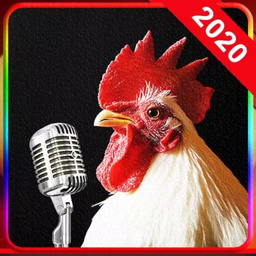 Chicken Song APK for Android Download