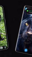 Panther Wallpaper screenshot 3