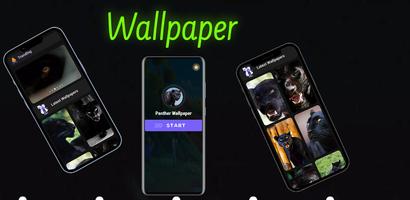 Panther Wallpaper plakat