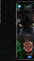 Panther Wallpaper screenshot 1