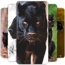 Panther Wallpaper APK