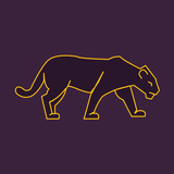 VPN Panther icon