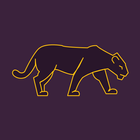 VPN Panther icono