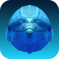 DolphinApp