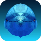 DolphinApp アイコン