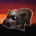 ”Moo Deng: City Adventure