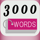 3000 WORD CARDS APK
