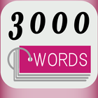 3000 WORD CARDS icône