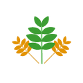 Cassava Leaf Disease