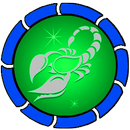 paspas APK