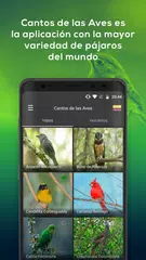 Descargar APK de Sonidos de pájaros - Argentina - Colombia - Perú