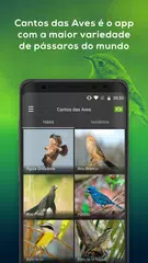 Todos Cantos Pássaros Brasil - Canto de Pássaros APK Herunterladen