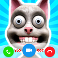 My Talking Slime Cat Juan Pet