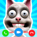 My Talking Slime Cat Juan Pet APK