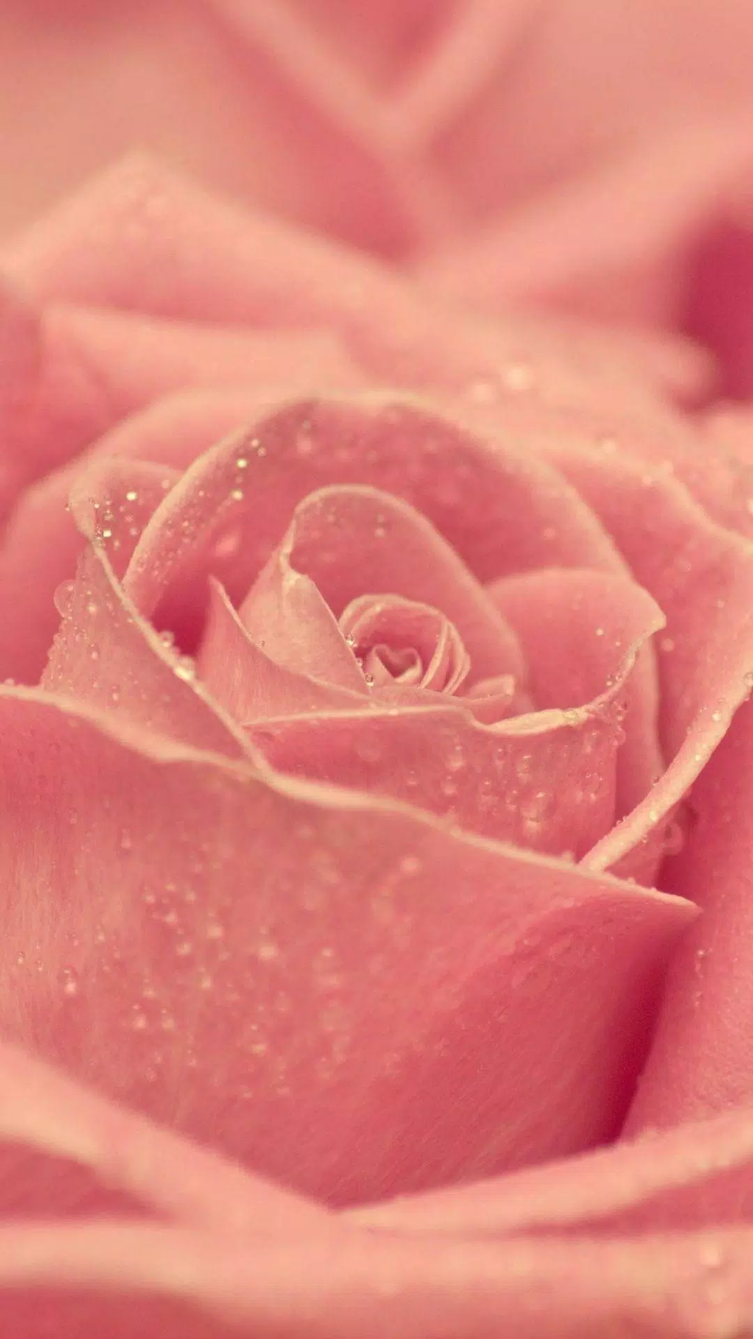 Tải xuống APK Pastel Pink HD Wallpaper cho Android Tải xuống APK Pastel Pink HD Wallpaper cho Android