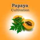 Papaya Cultivation IIHR APK