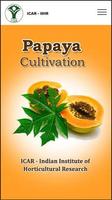 Papaya Cultivation الملصق