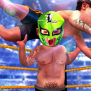 Tag Team Wrestling Fight Games APK