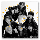 BTS Photo Widgets APK