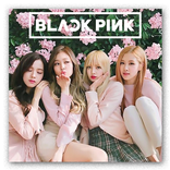 Blackpink Photo Widgets