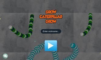 Grow Caterpillar Grow 海报