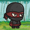 Black Ninja Adventures