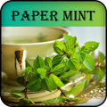 Papermint